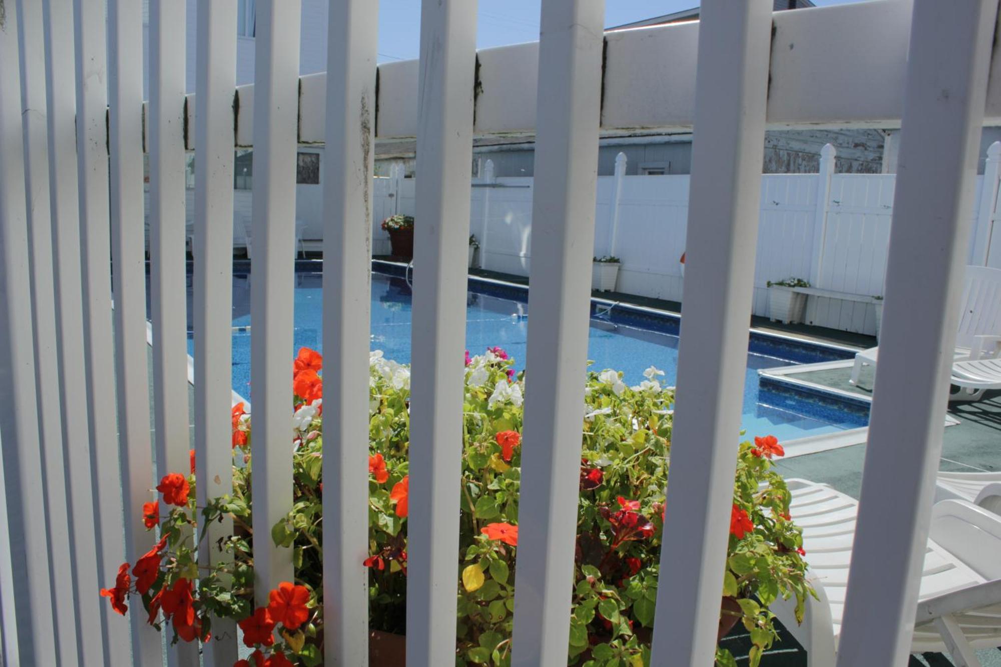 Flagship Motorcourt Motel แฮมป์ตัน ภายนอก รูปภาพ